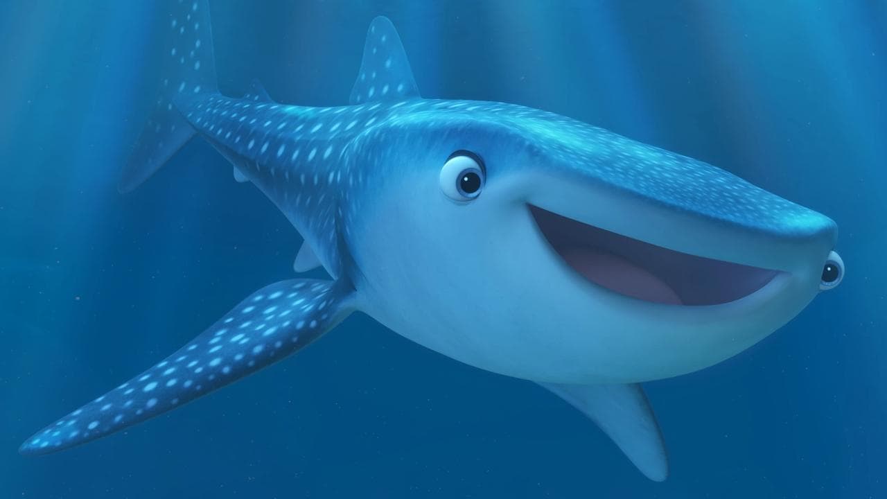 Marine Life Interviews still 1