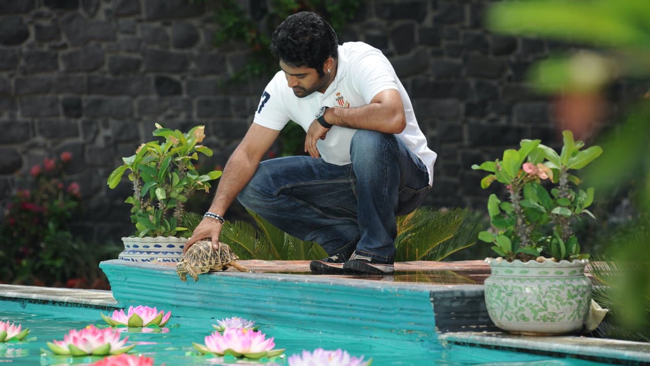Brindavanam still 5