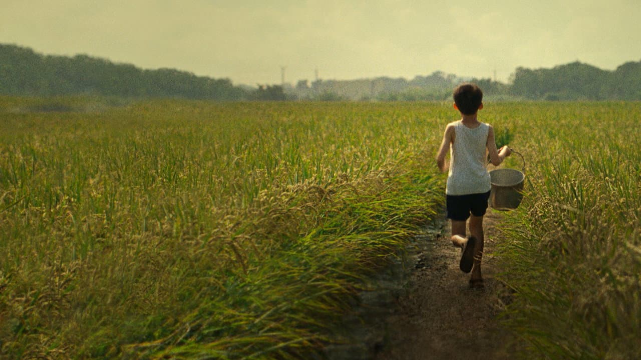 Tigertail still 3
