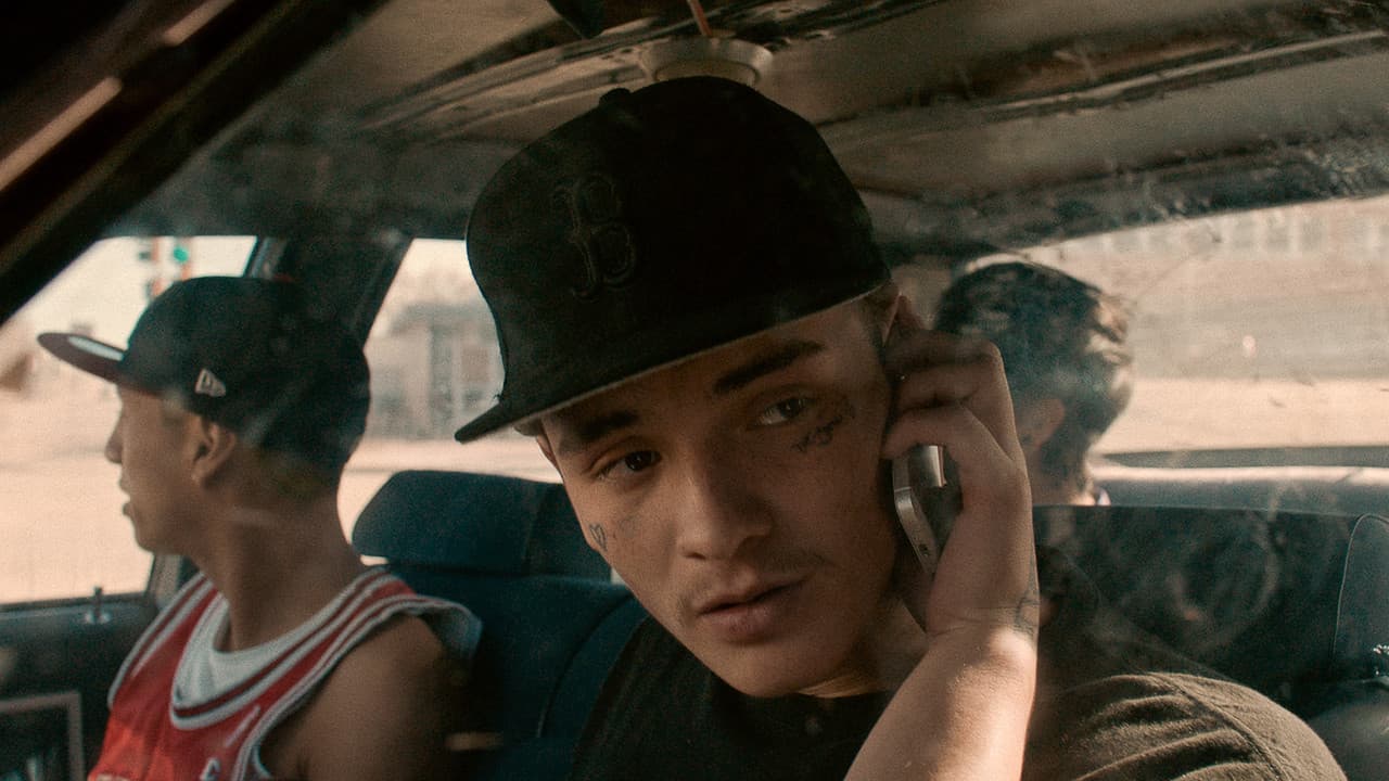 War Pony still 4