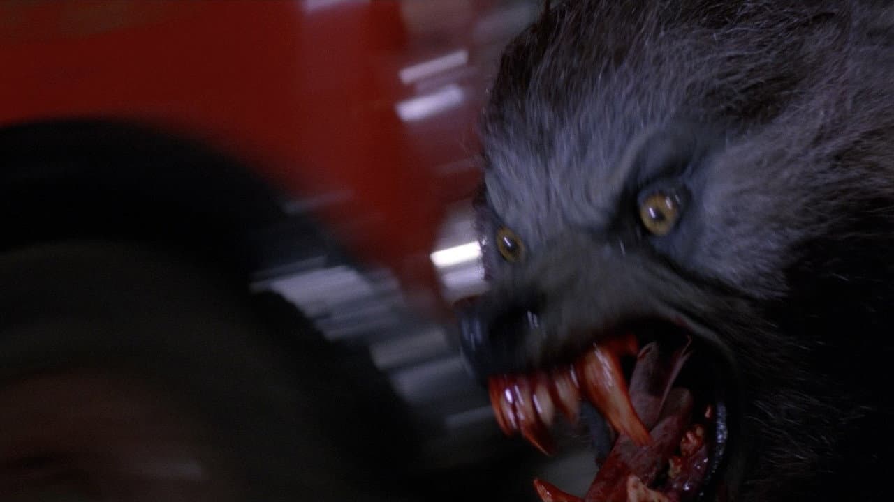 An American Werewolf in London still 2