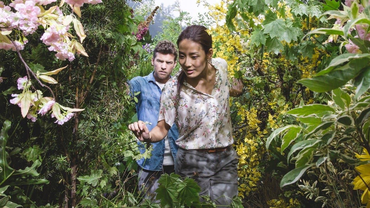 The Shack still 1