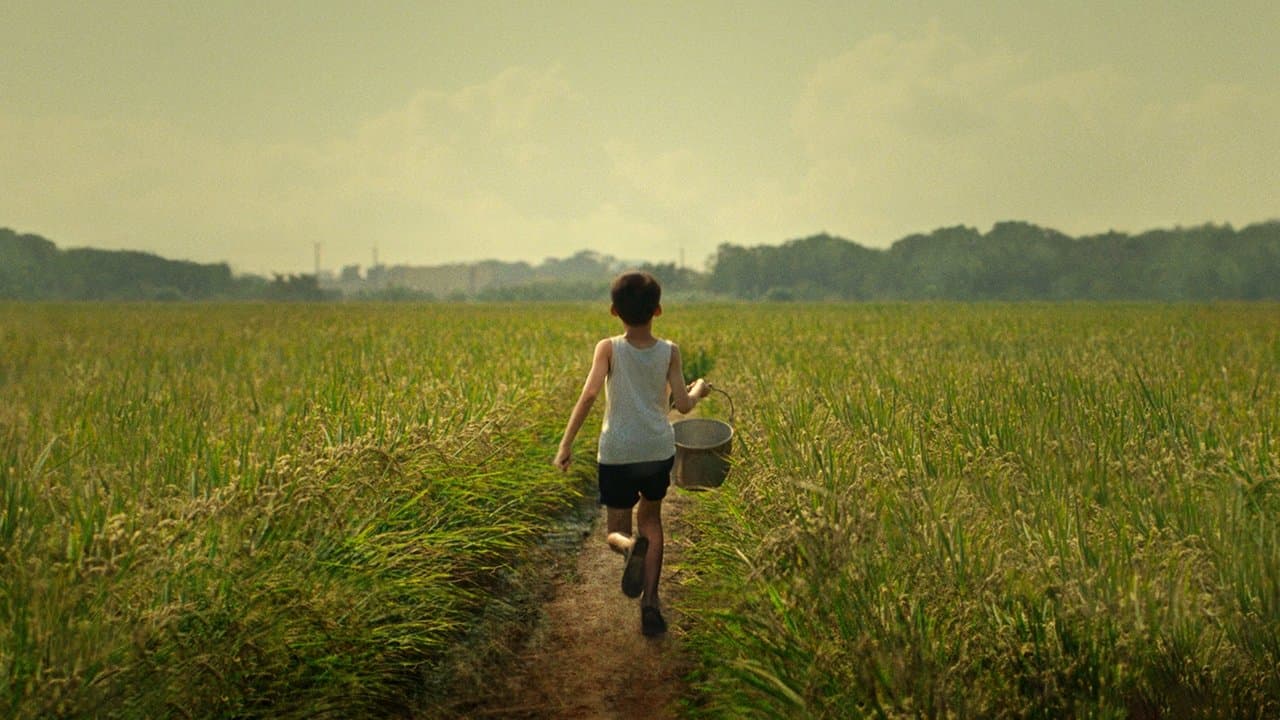 Tigertail still 2