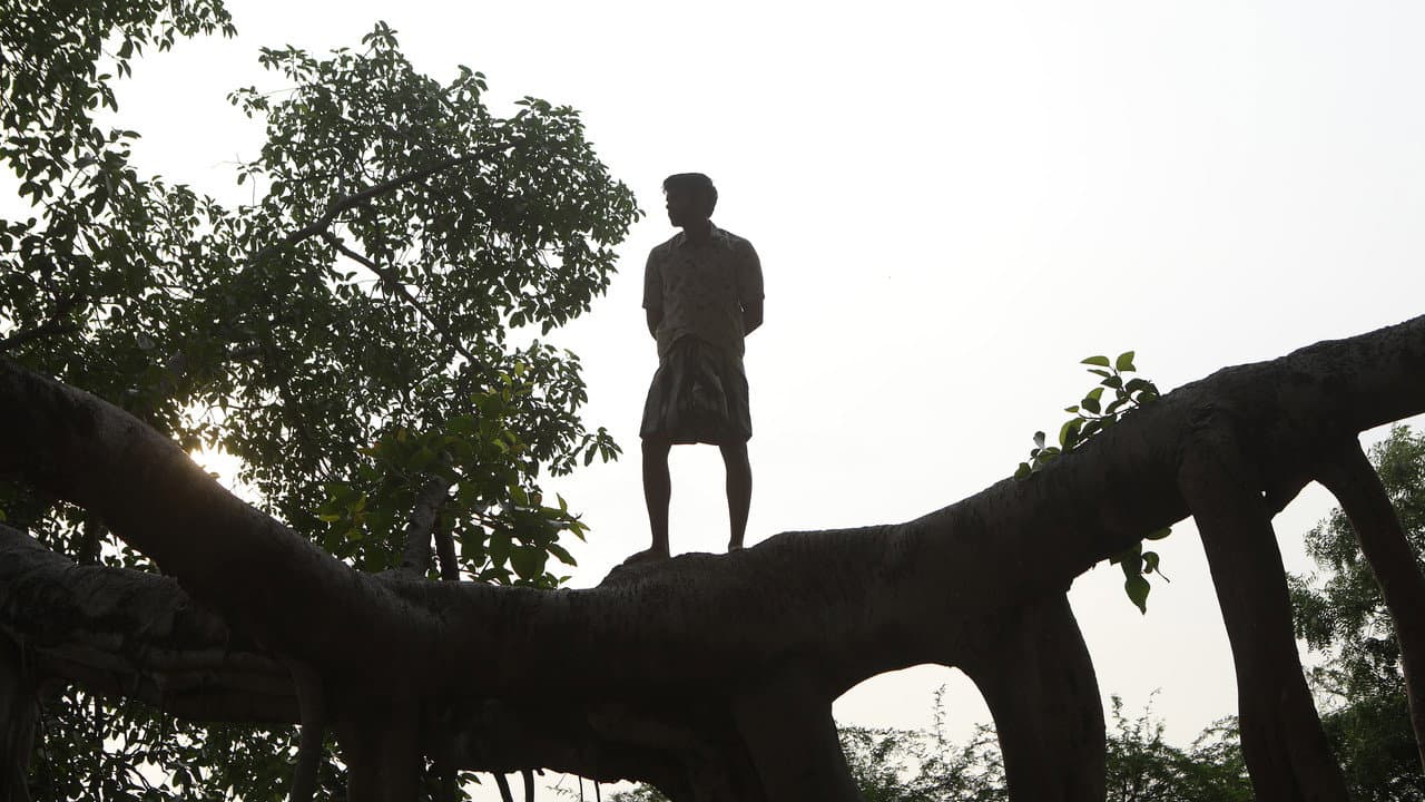 Bison Kaalamaadan Review: Raw & Riveting still 3