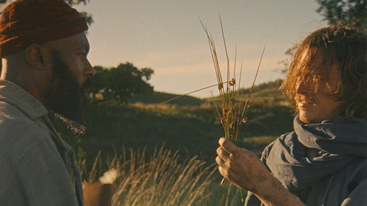 Harvest still 7