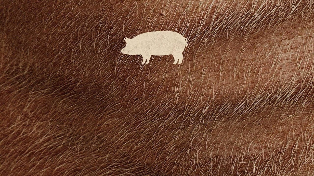 Pig still 8