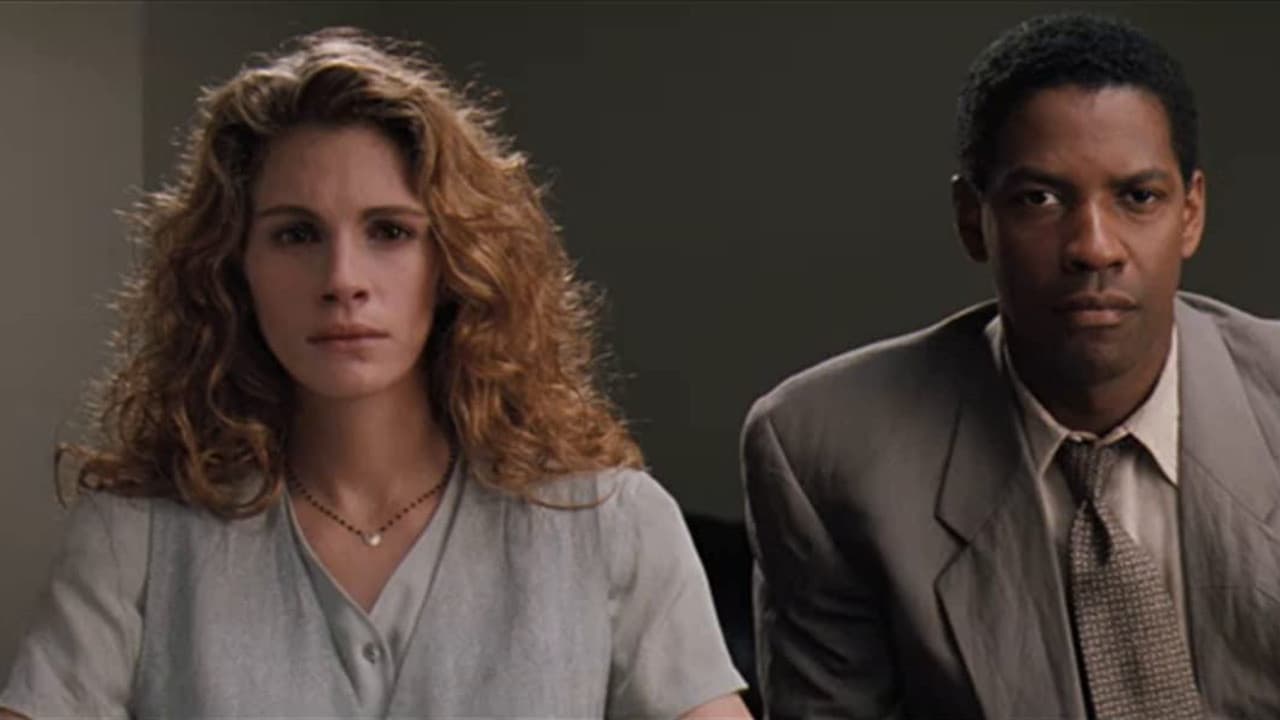 The Pelican Brief still 8