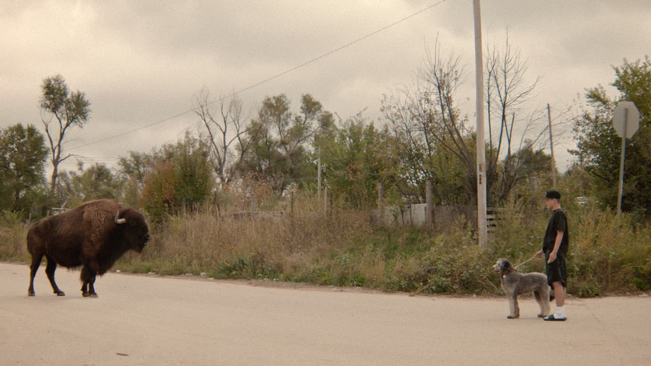 War Pony still 7