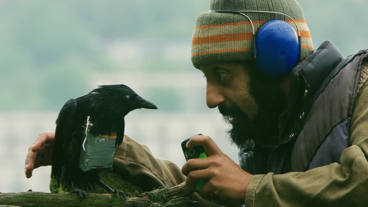 Four Lions still 7