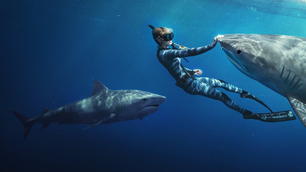 Shark Whisperer still 1