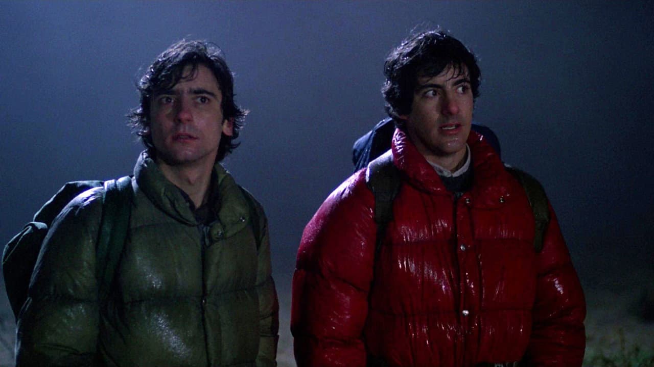 An American Werewolf in London still 7