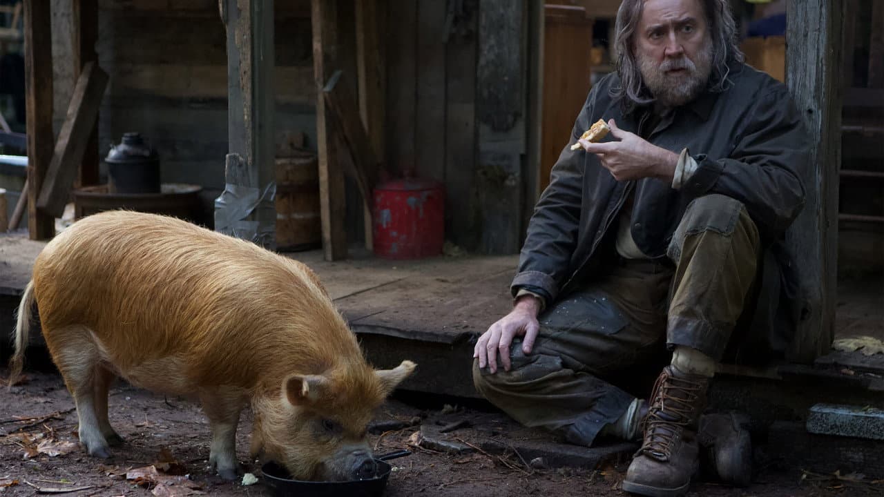Pig still 7