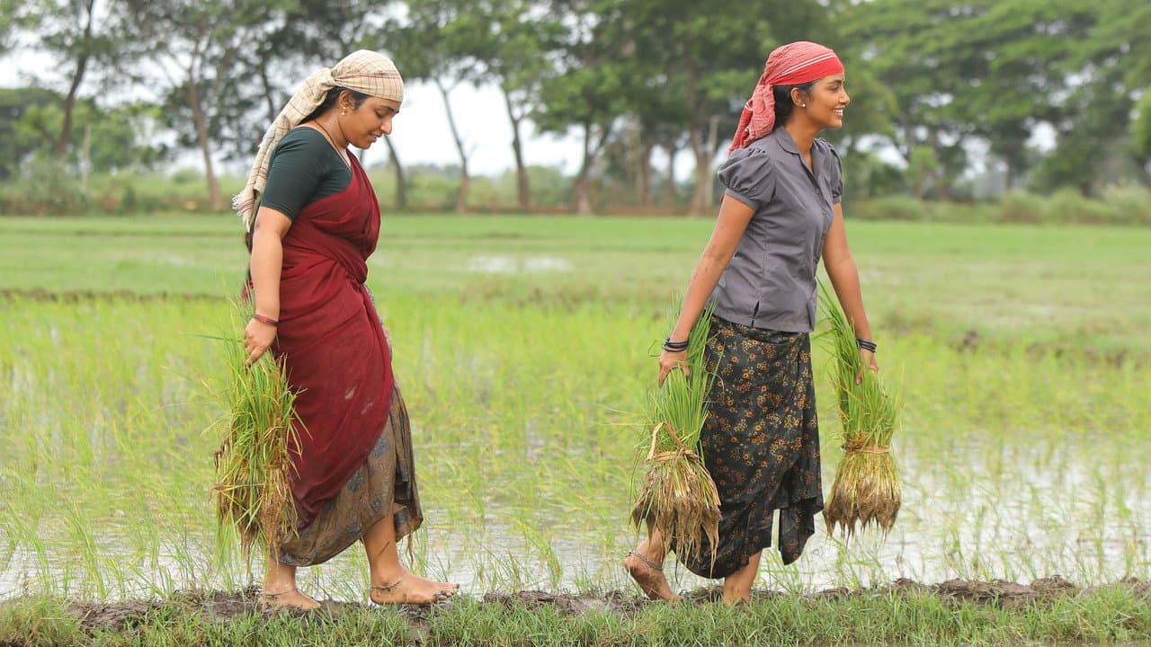 Bison Kaalamaadan Review: Raw & Riveting still 8