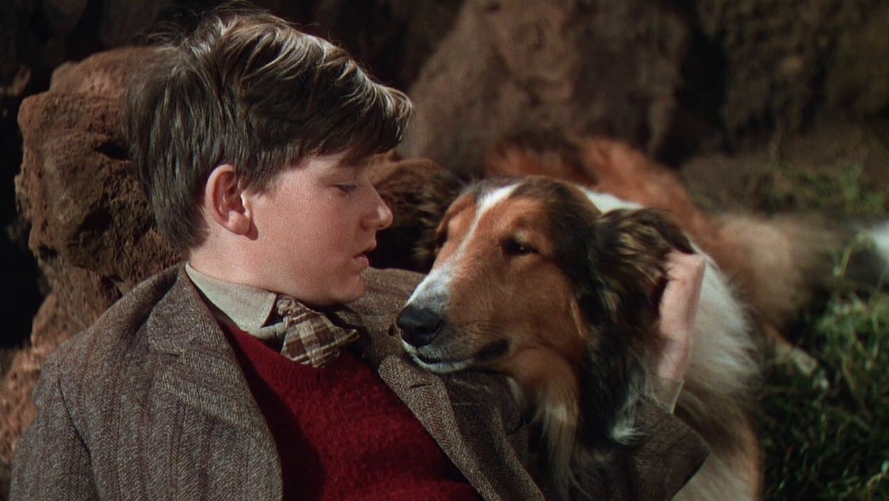 Lassie Come Home still 1
