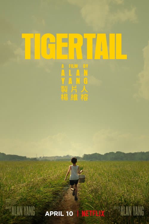Tigertail still 8