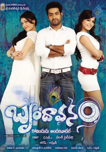 Brindavanam still 6
