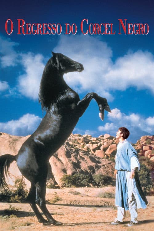 The Black Stallion Returns still 7