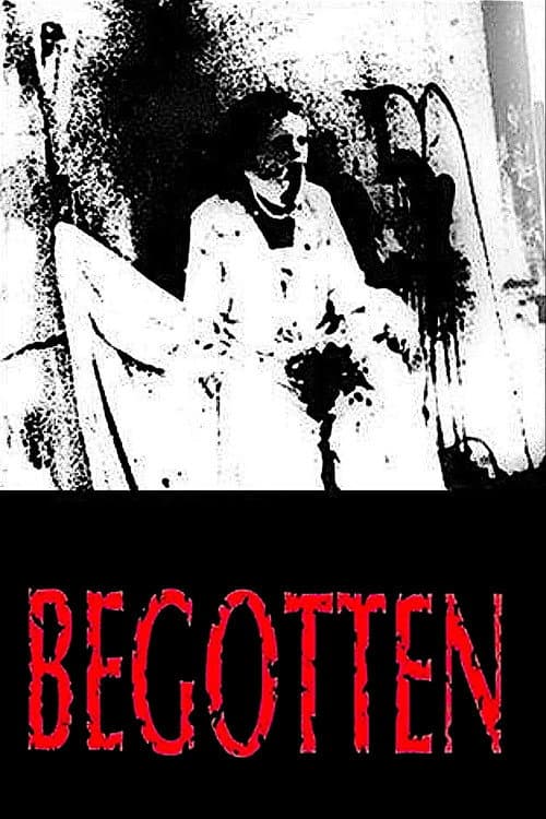 Begotten still 8