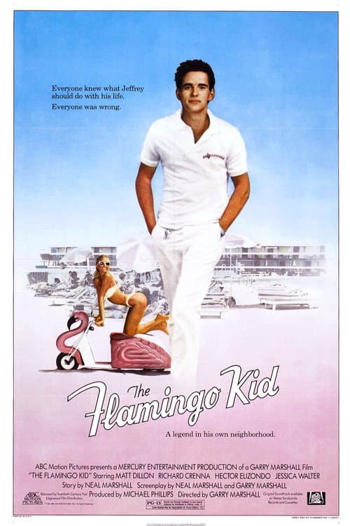 The Flamingo Kid still 8