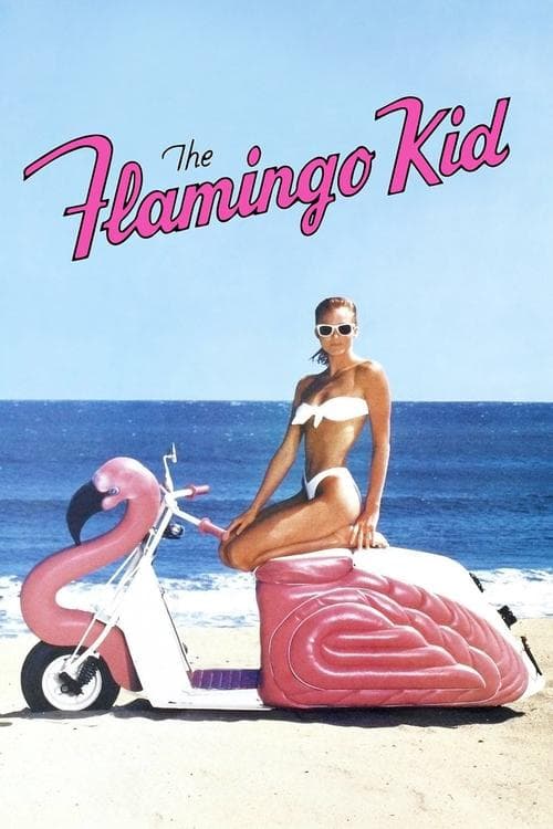 The Flamingo Kid still 4