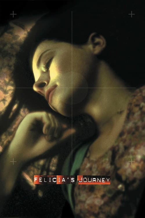 Felicia's Journey still 5