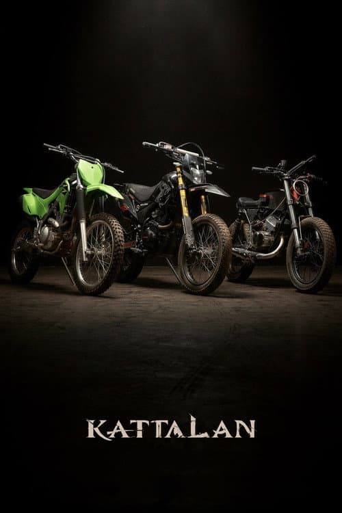 Kattalan still 7