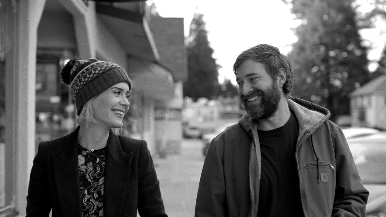 Blue Jay still 7