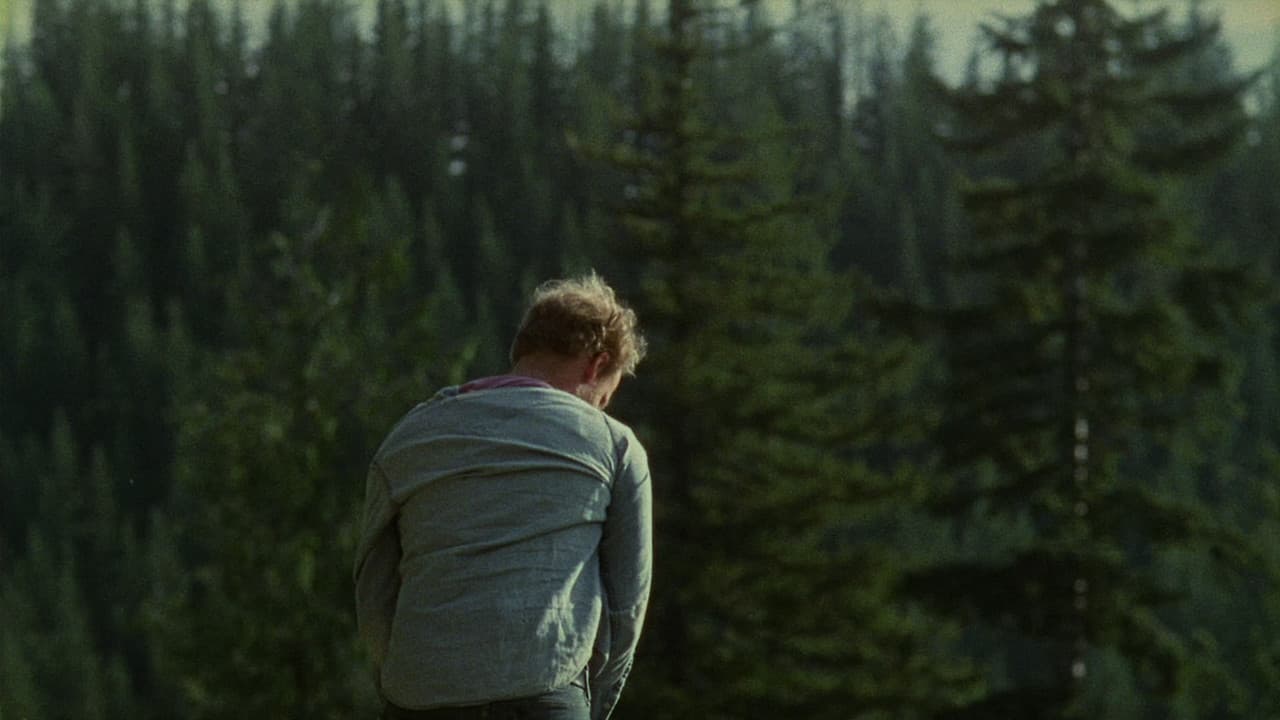 Old Joy still 5