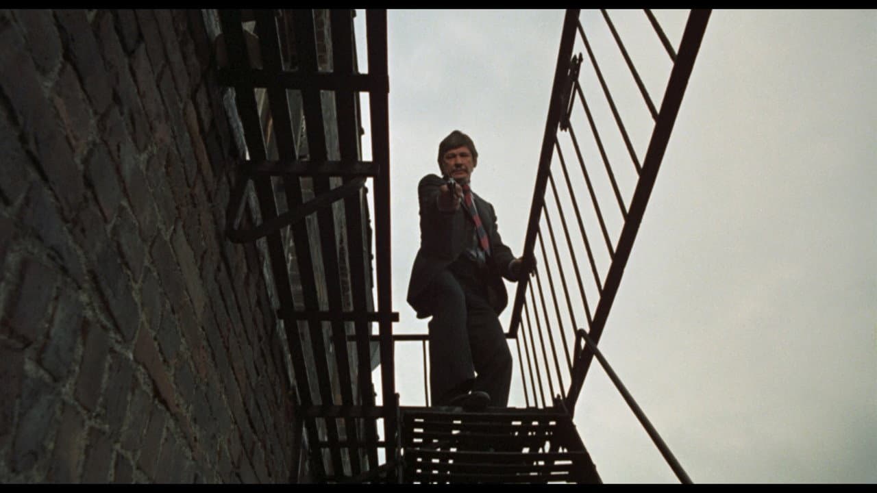 The Stone Killer still 2