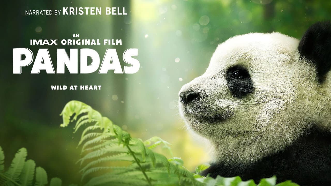 Pandas still 4