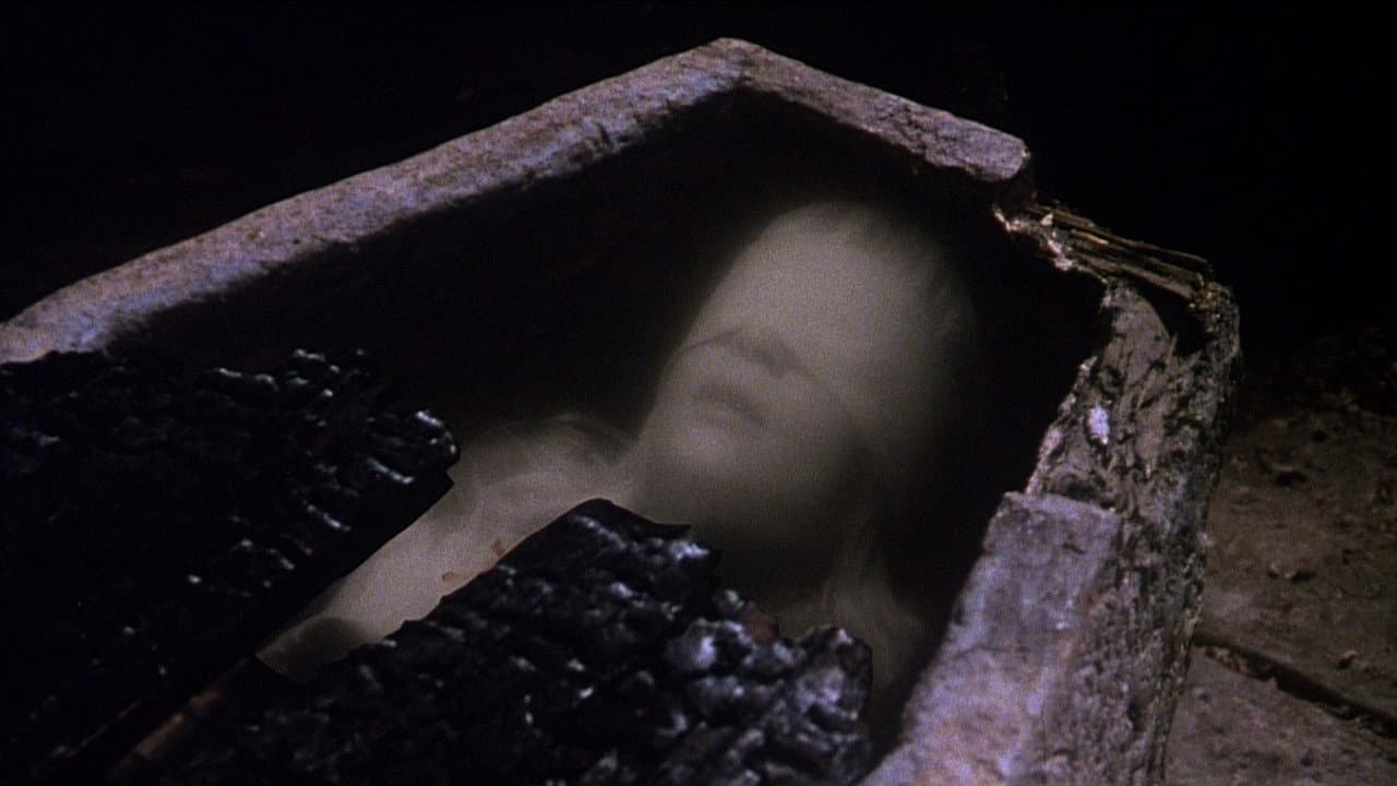 The Watcher in the Woods still 8