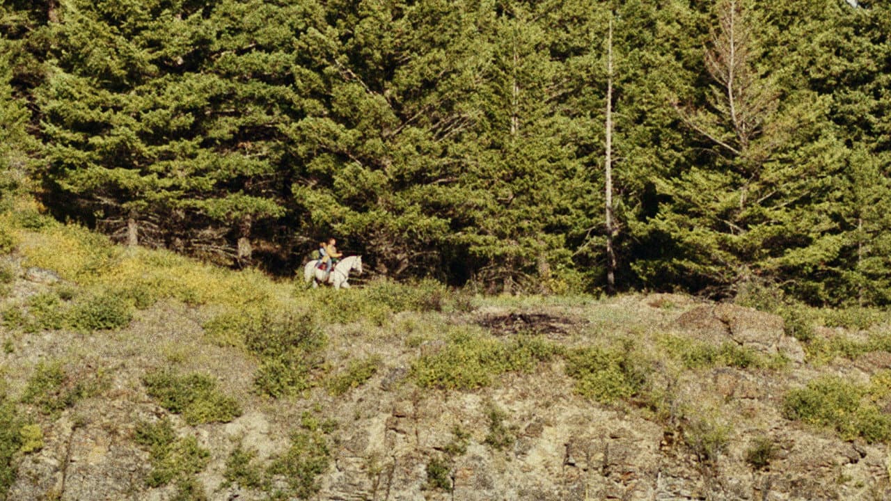Cowboys still 7