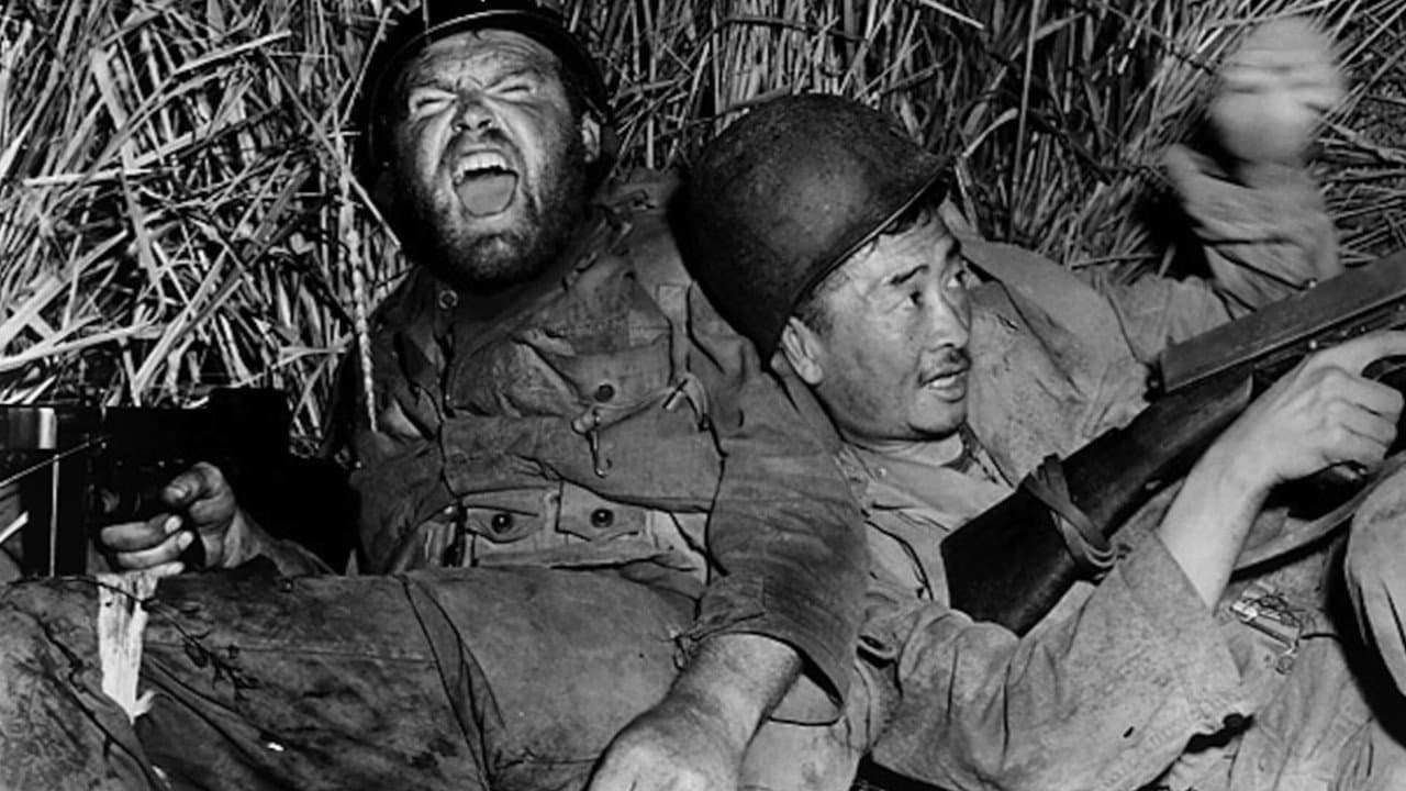 The Steel Helmet still 1