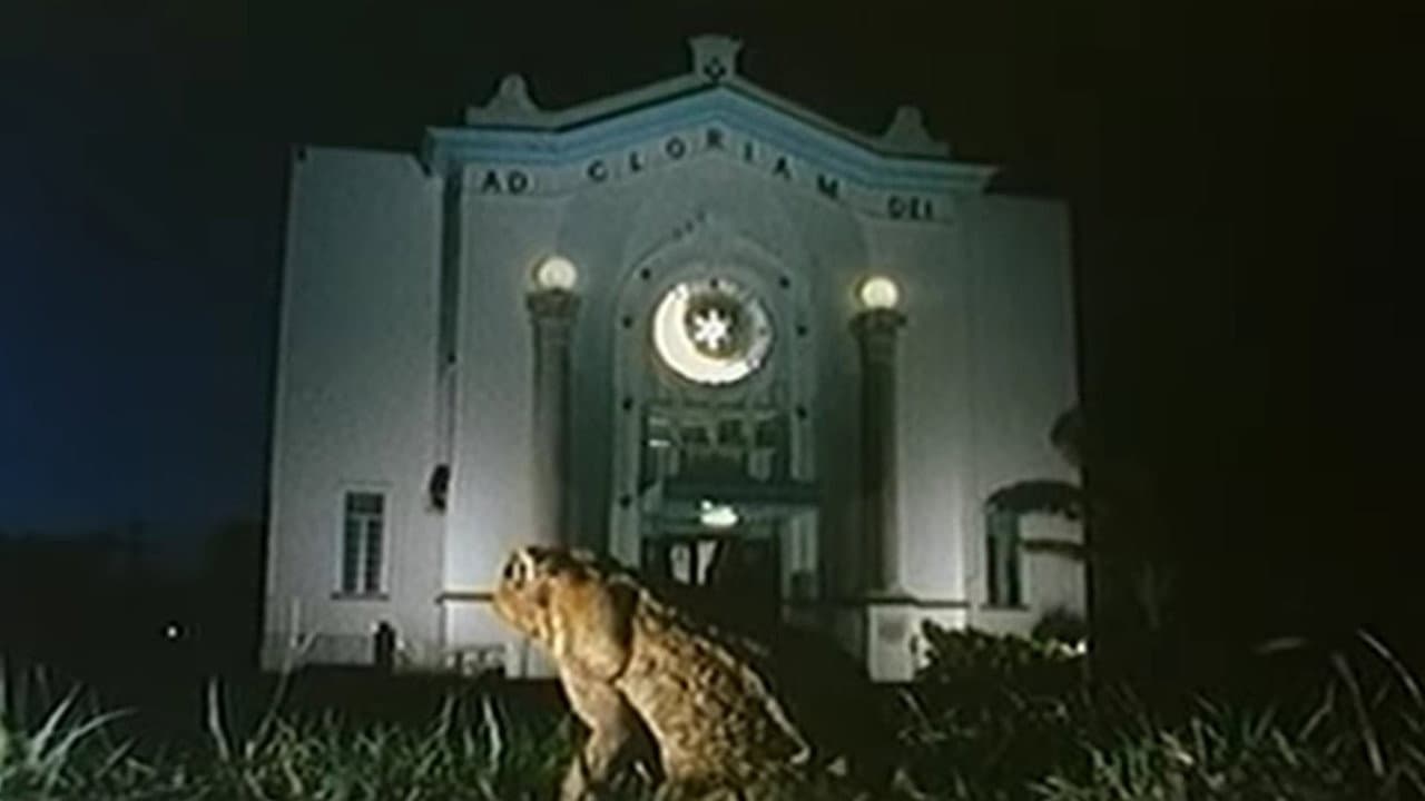 Cane Toads: An Unnatural History still 5