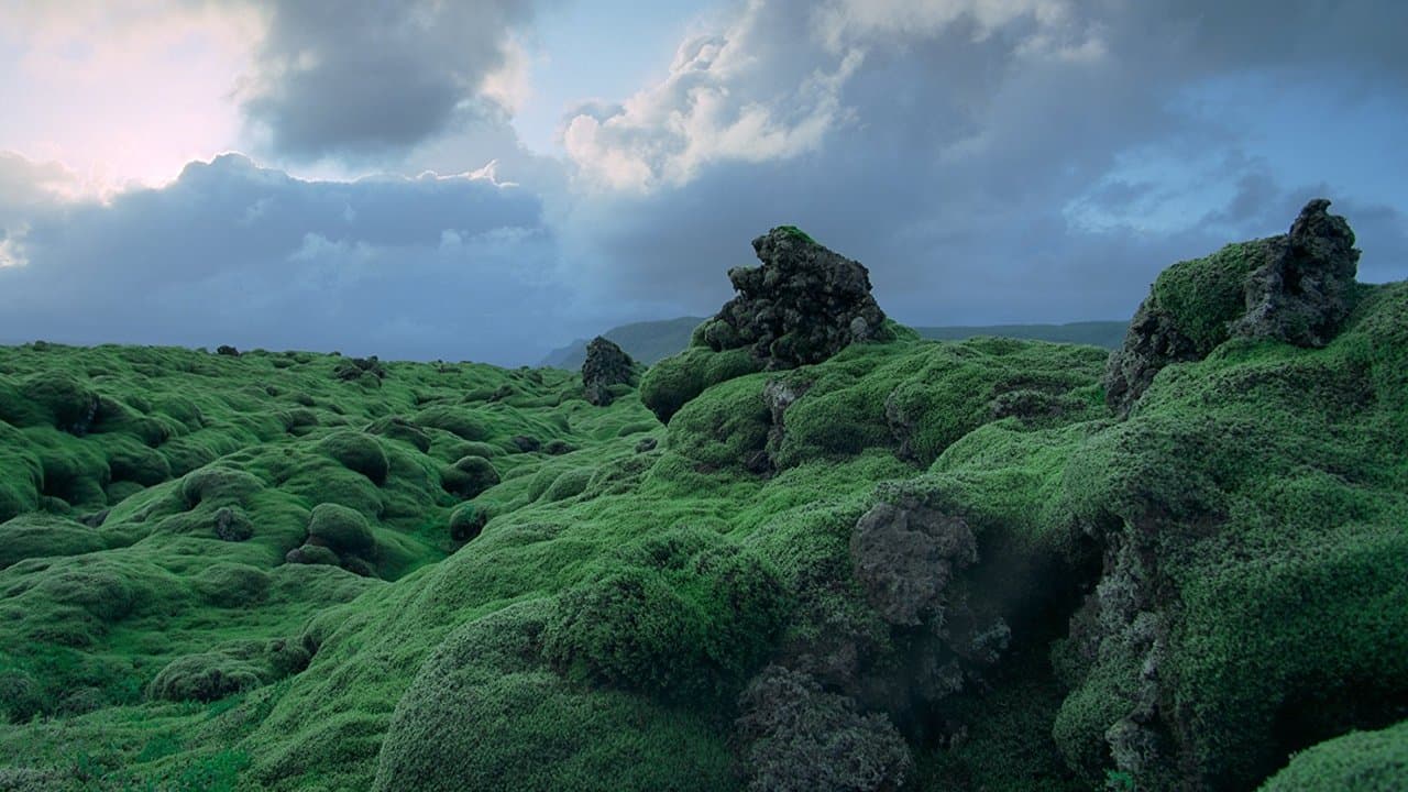 Voyage of Time: The IMAX Experience still 1