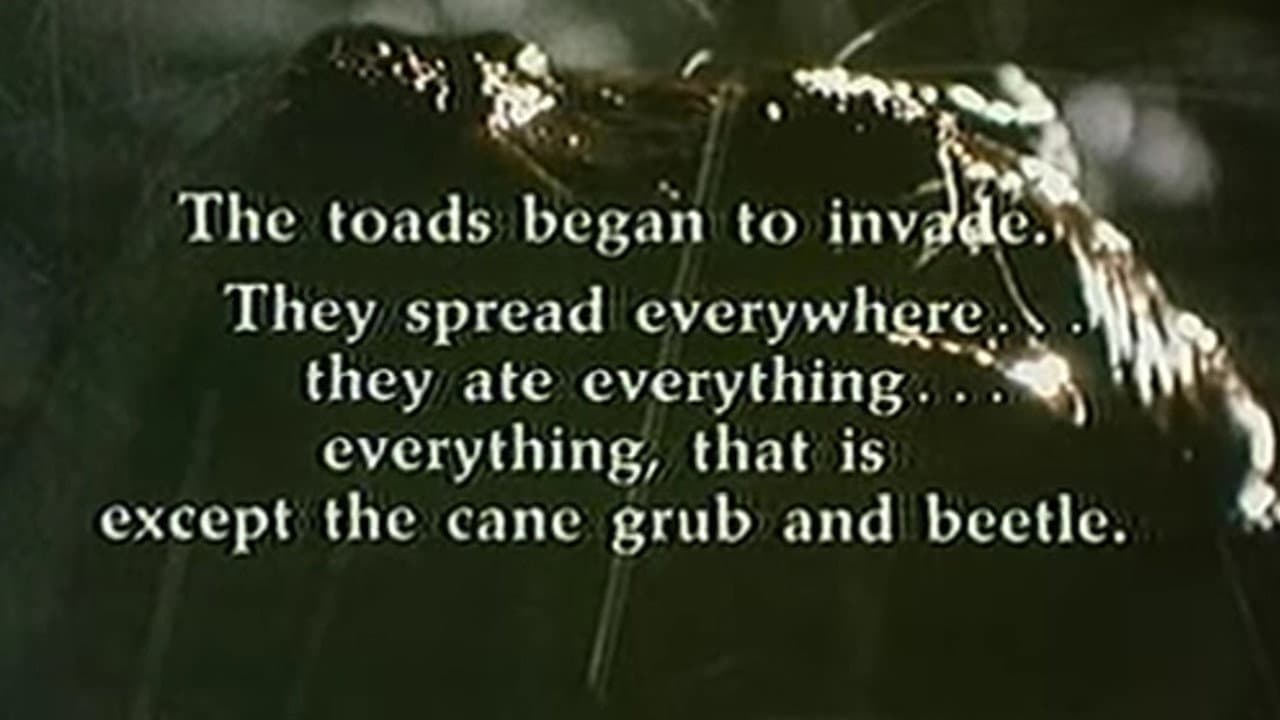 Cane Toads: An Unnatural History still 4