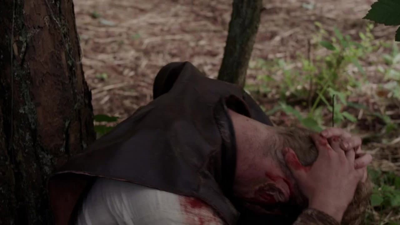 The Lost Viking still 1