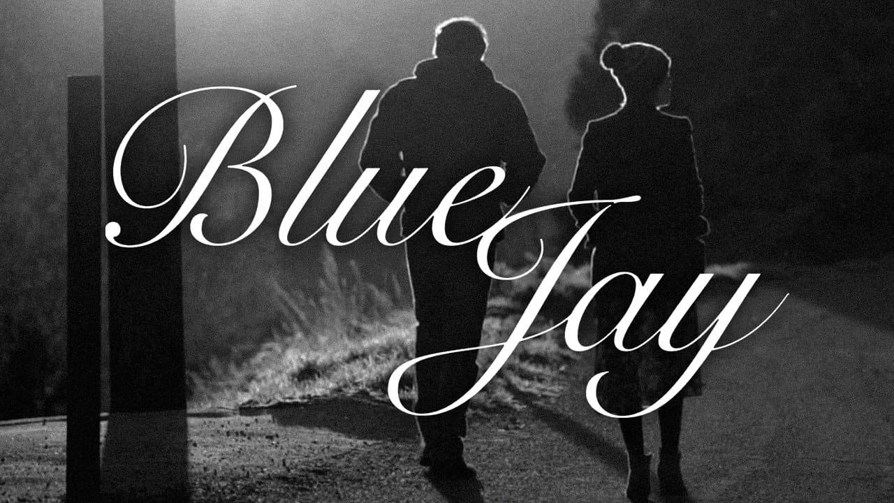 Blue Jay still 4