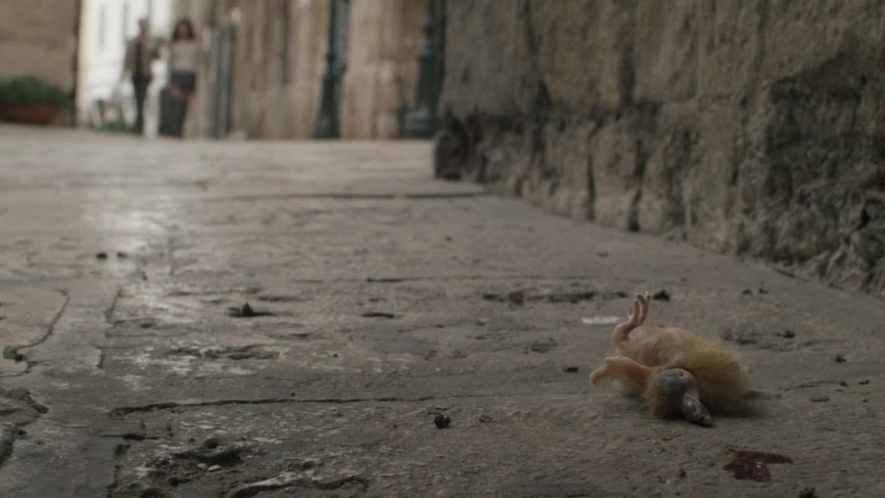 Spring still 8