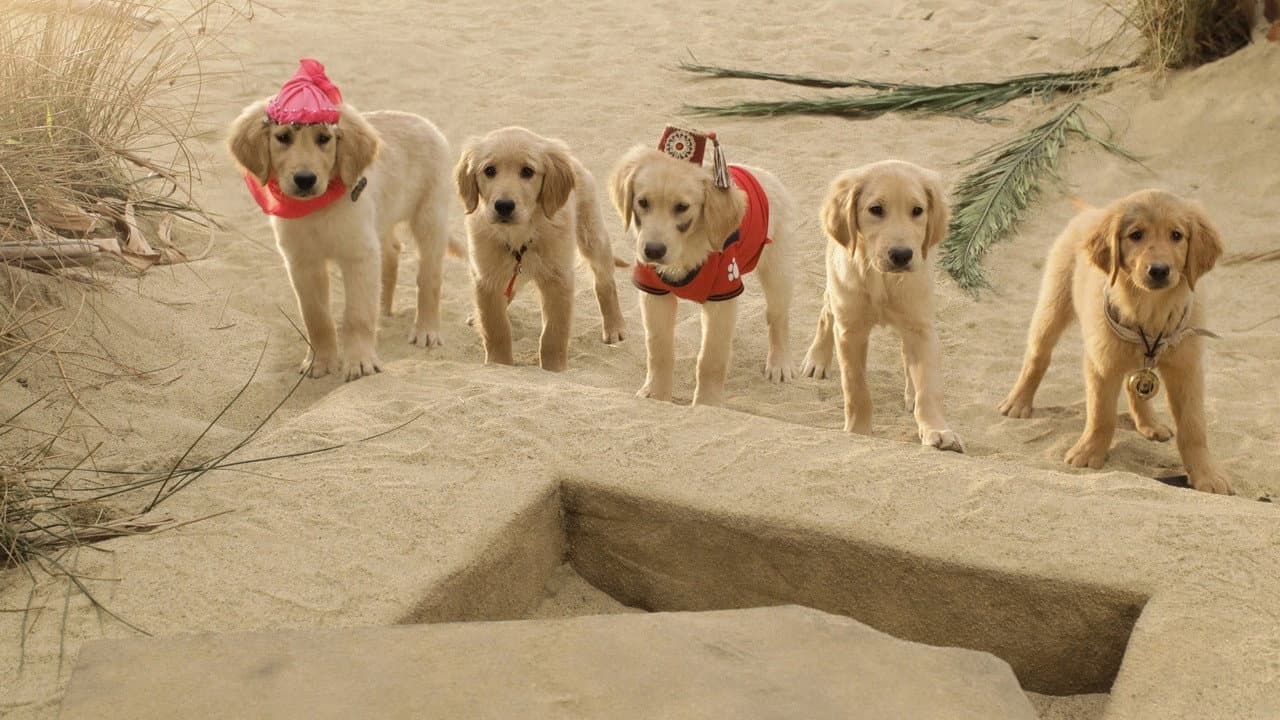 Treasure Buddies still 1