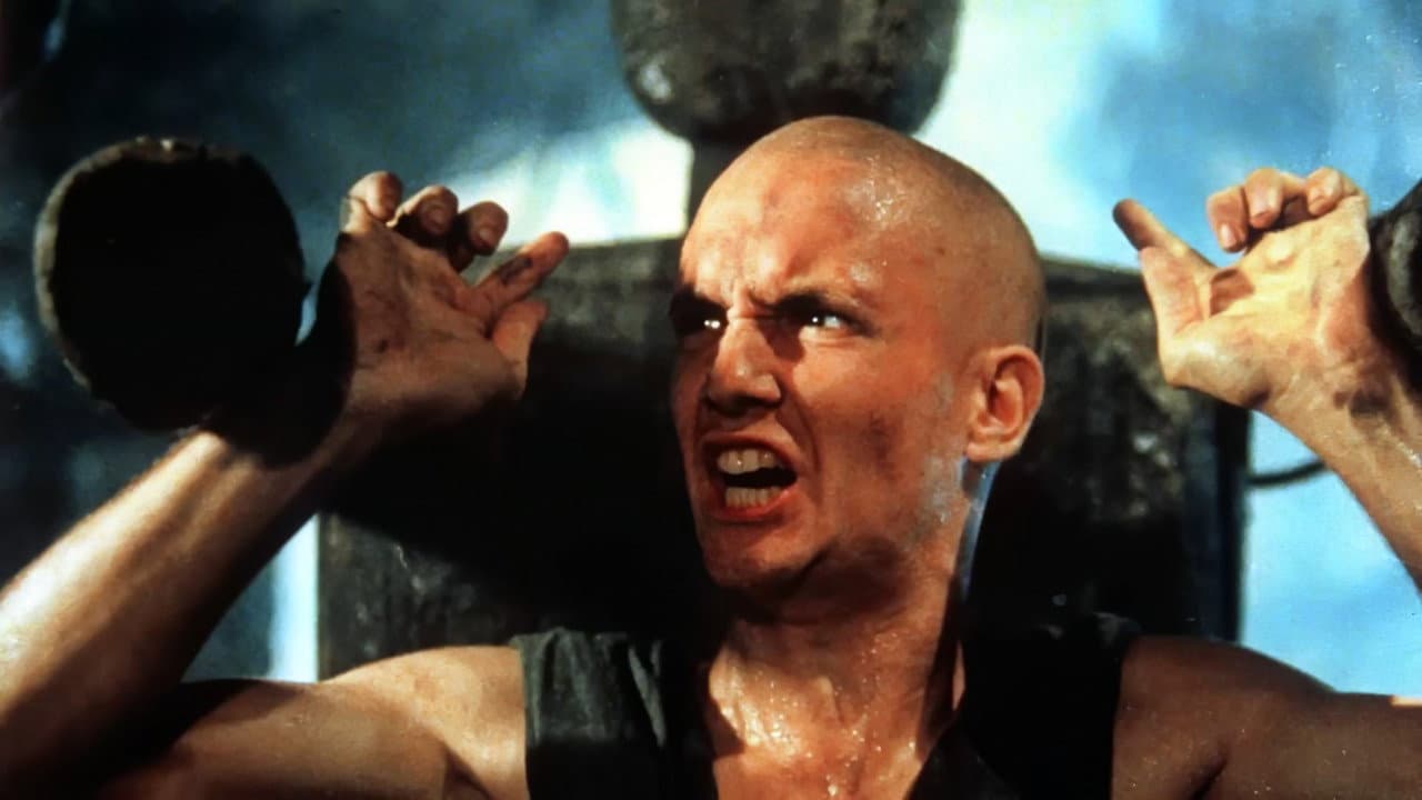 American Shaolin still 5
