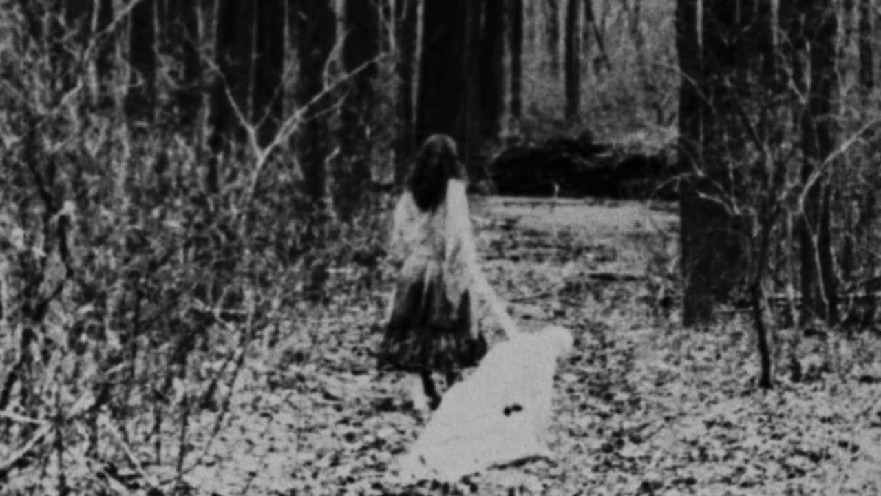 Begotten still 8