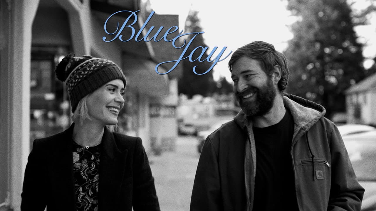 Blue Jay still 8