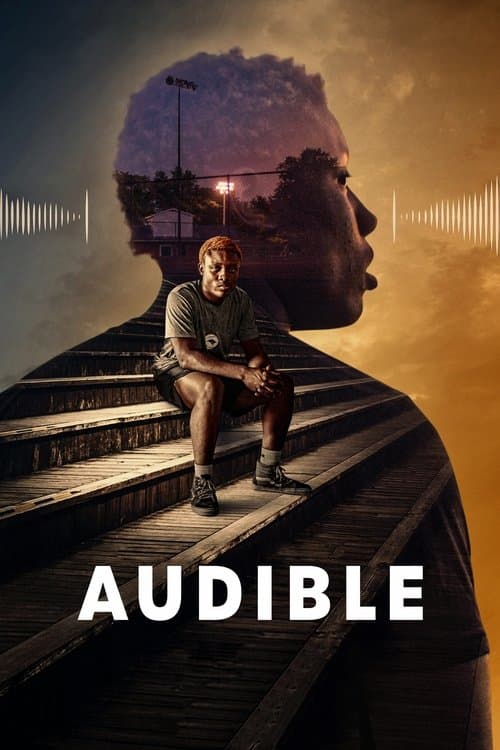 Audible still 4