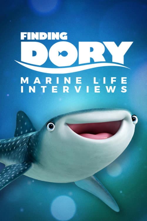 Marine Life Interviews still 5