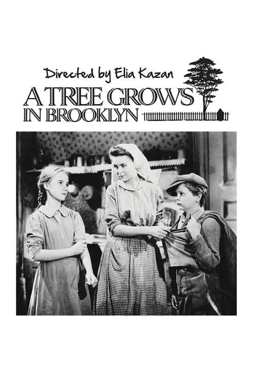 A Tree Grows in Brooklyn still 8