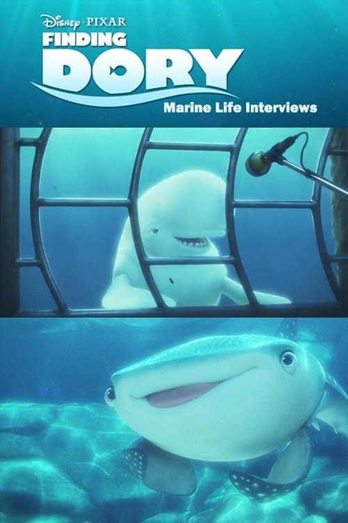 Marine Life Interviews still 3