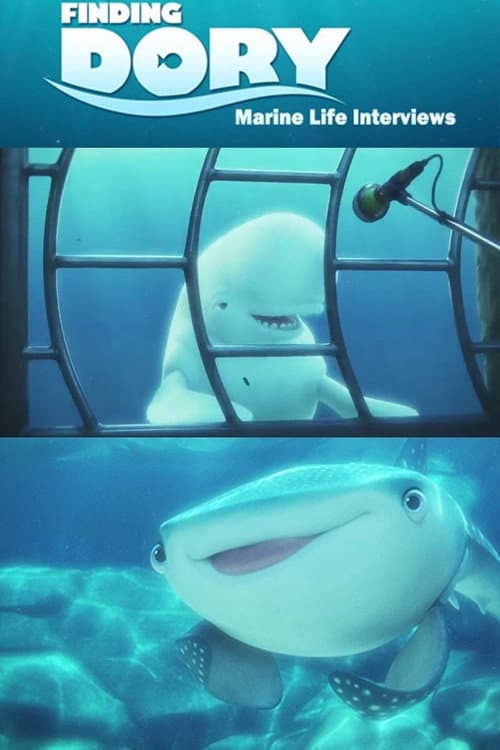 Marine Life Interviews still 4